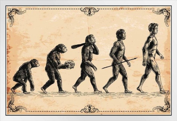 ¿El hombre es un lobo para 

el hombre o un cachorro de retriever?