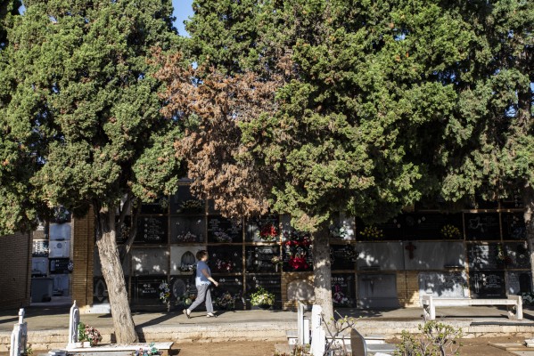Ruta 'transmaricabollo' por el cementerio de València

