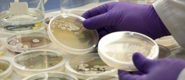 ¿Compro acciones de PharmaMar? Lea esto