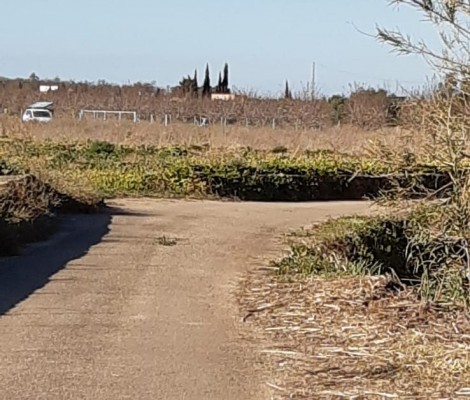 Pedreguer construye un muro el Barranc de la Fusta para frenar los daños en el Camí Carragús

