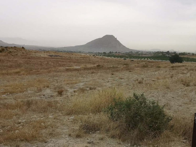 Las solares siguen fijándose en el Camp d'Elx: la danesa Eurener proyecta 9 MW en Santa Ana