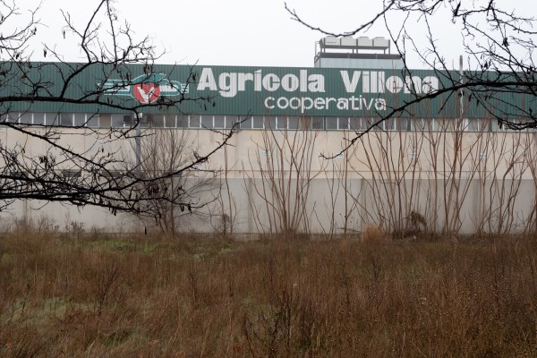 La macrogranja estaba en Villena