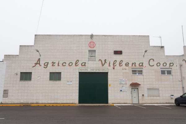 Segunda vida 'extra' para Agrícola Villena: la herencia arrastrada desde 2014