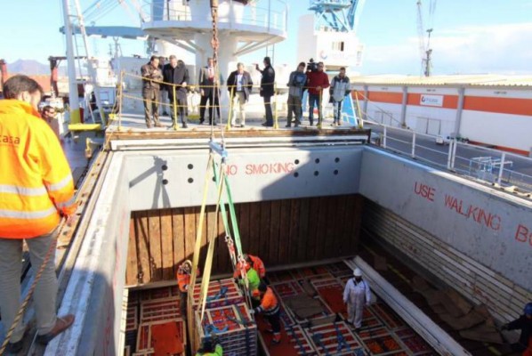 El sector citrícola europeo se une y pide a Bruselas el tratamiento en frío para la naranja de Sudáfrica 