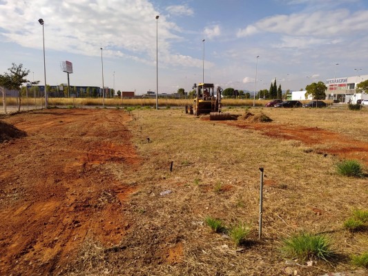 Castelló cede el huerto de San Lorenzo para un proyecto agrosocial integrador y terapéutico