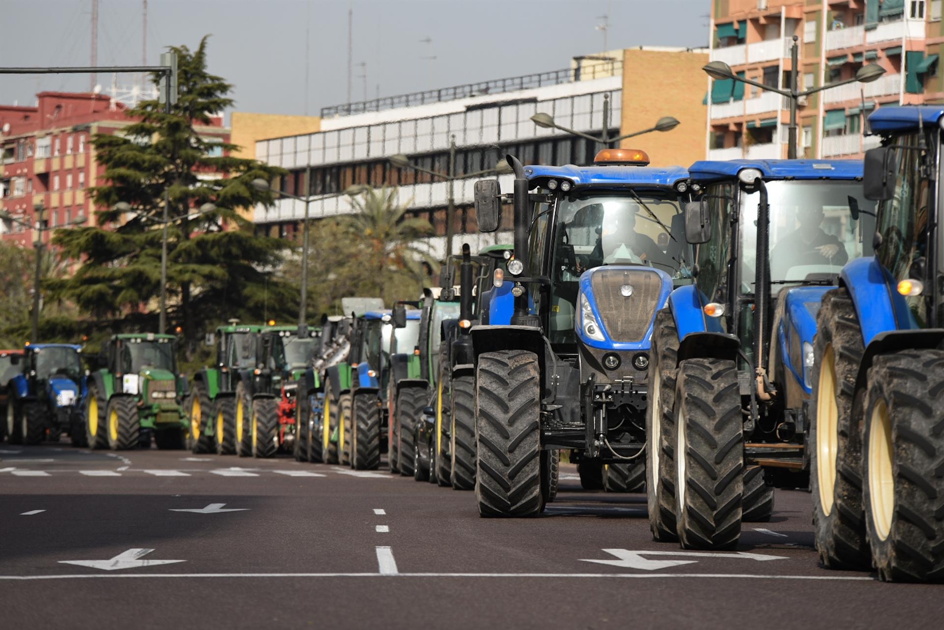 Los agricultores cierran 2021 con pérdidas, sobrecostes millonarios y la naranja hundida a 9 céntimos el kilo