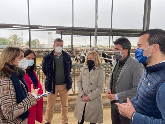 Mazón pide al Consell una campaña en defensa de los productos cárnicos valencianos