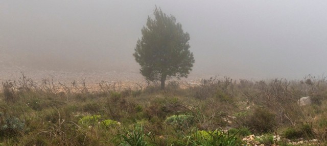 El Centro 14 acoge una búsqueda interior a través de paisajes neblinosos de la Sierra de Bernia