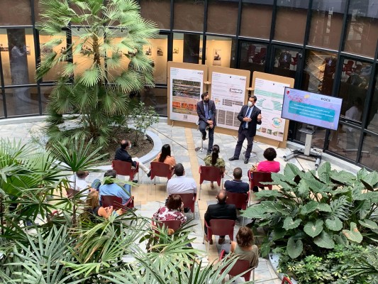 Subvenciones 'eco-friendly': 400.000 euros para implantar Soluciones Basadas en la Naturaleza