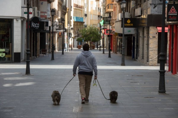 Restaurantes Dogfriendly en Valencia donde disfrutar de una buena experiencia