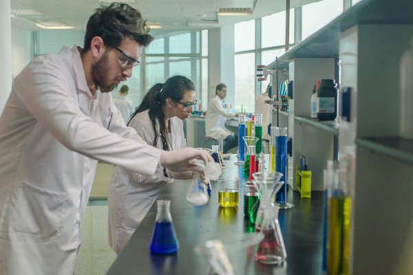 La labor formativa de la UPCT, entre las elegidas para mejorar las competencias profesionales en Egipto, Argelia y Jordania