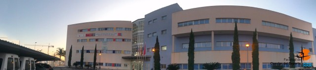 La Facultad de Ciencias del Deporte de la UMU, entre las 150 mejores del mundo 