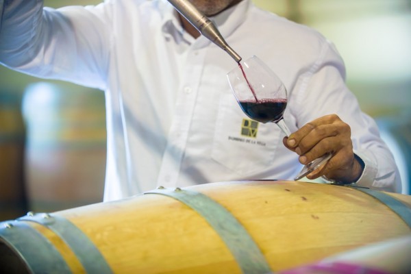 Dominio de la Vega cierra 2016 con un crecimiento del 15%