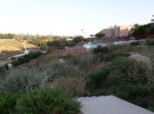 Contratiempo en la regeneración de Carrús Este en Elche: el Tribunal suspende cautelarmente el pliego  