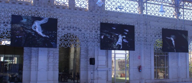 Casa Mediterráneo arranca el año con rostros de la talla de Pere Cardona y Ricard Pérez Casado
