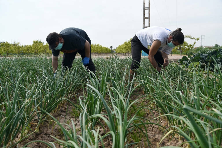 La Unió augura un 2022 con más protestas por el futuro del sector agrario
