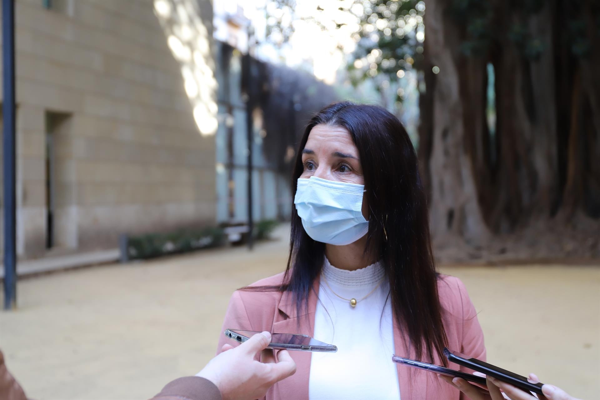 Merino no cree que haya elecciones autonómicas en 2022 y critica la 