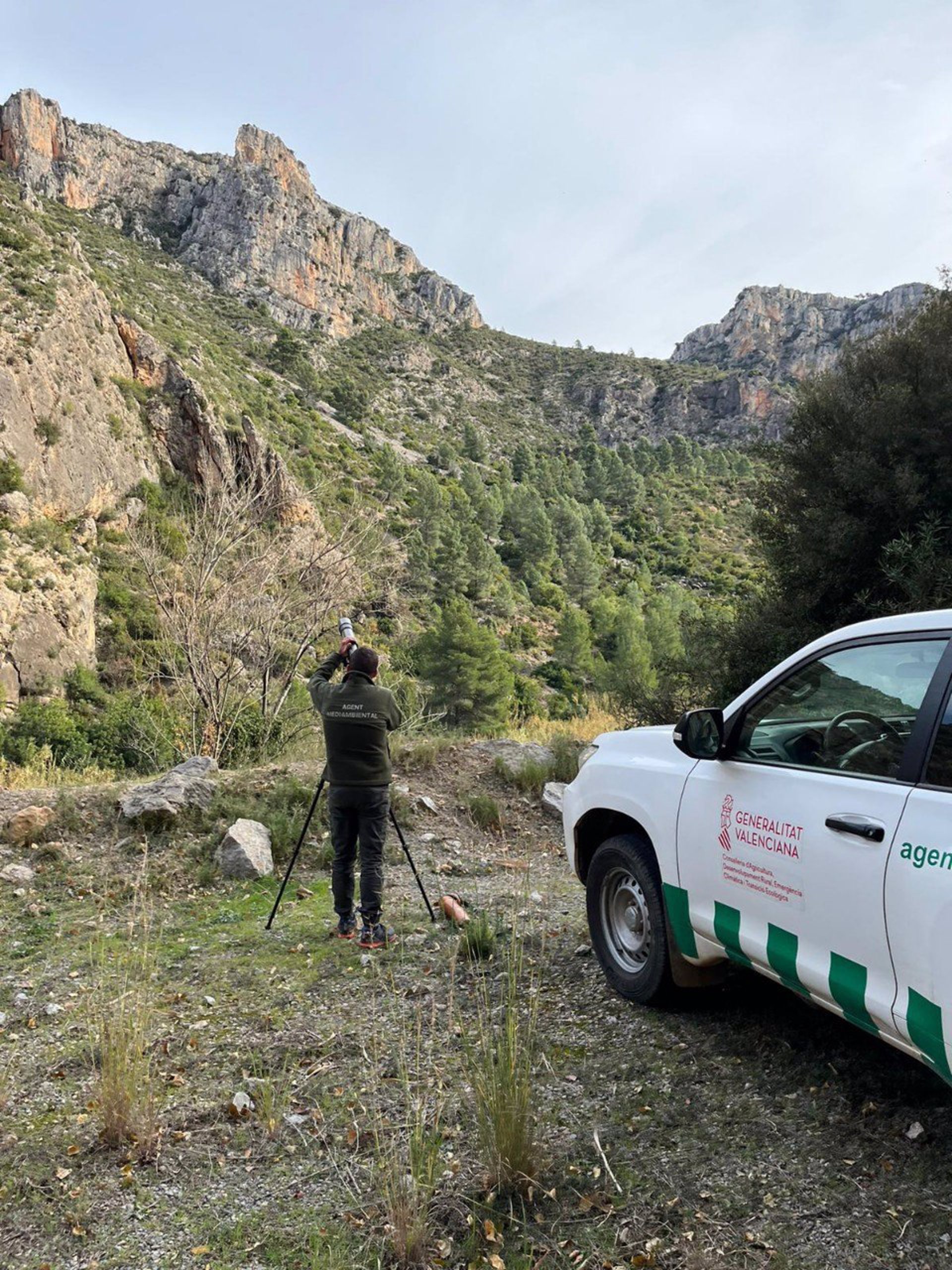 Agentes medioambientales inician un censo de la cabra montés en la provincia de Castellón
