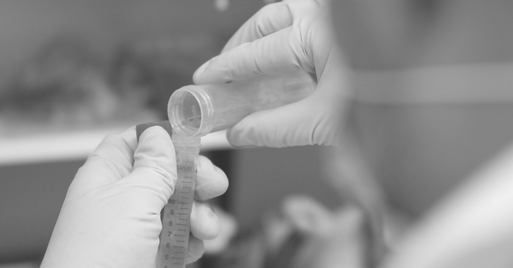 La valenciana Tetraneurón recibirá un millón de euros del IVF y Feder para investigar el Alzheimer