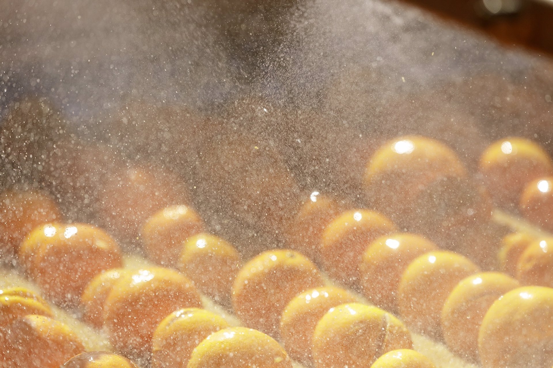 El número de empresas agroalimentarias valencianas subió un 3,3% en 2020