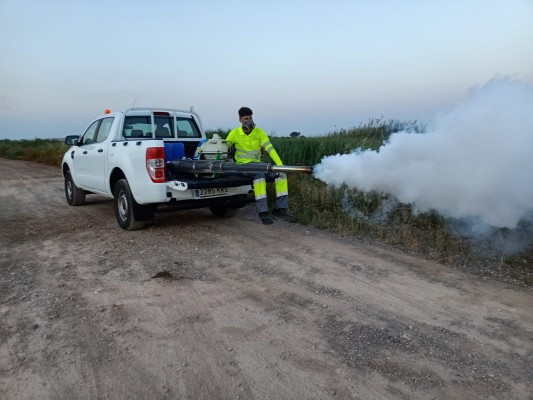Nules saca una nueva licitación del servicio de control de mosquitos