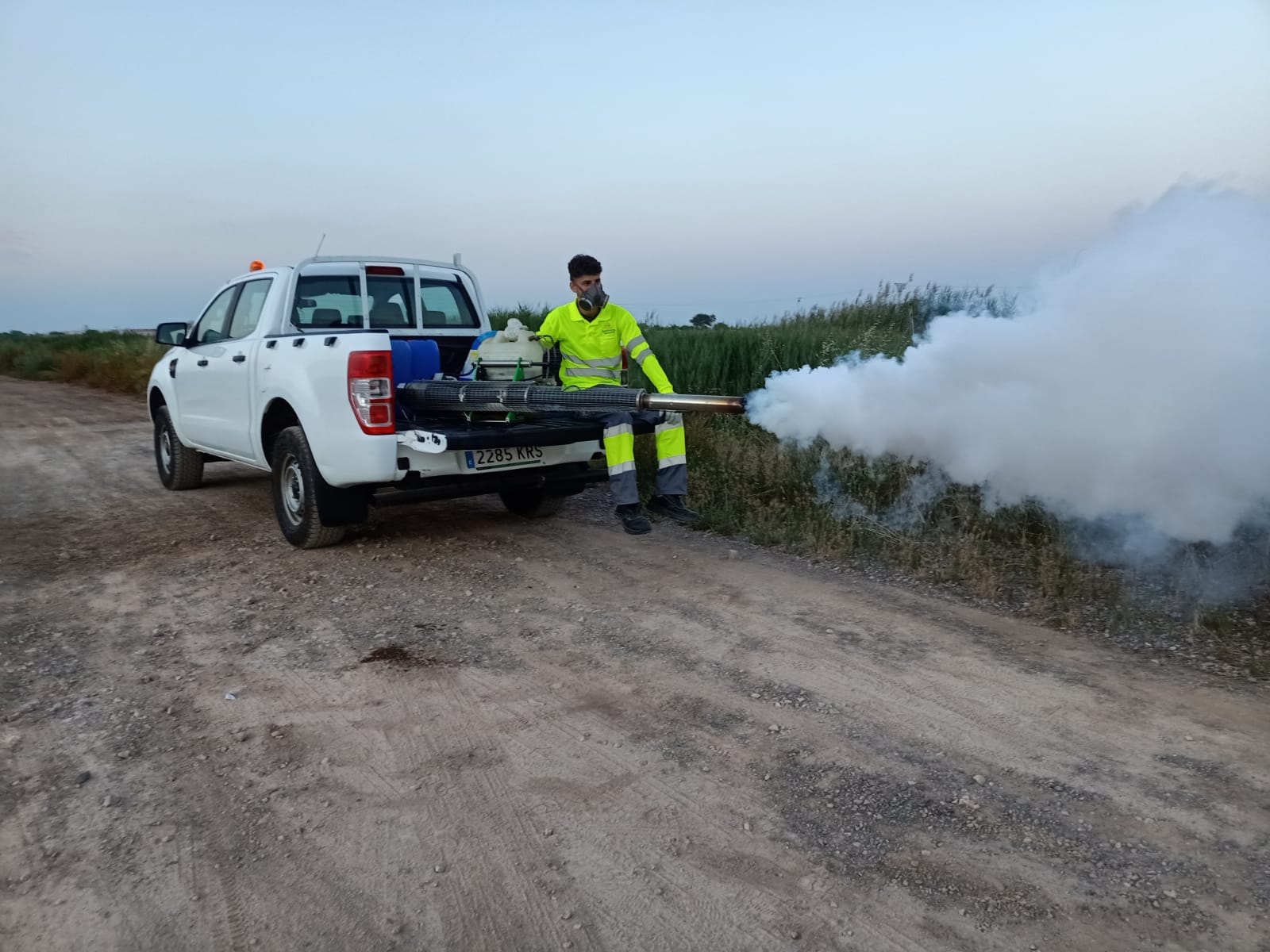Nules saca una nueva licitación del servicio de control de mosquitos