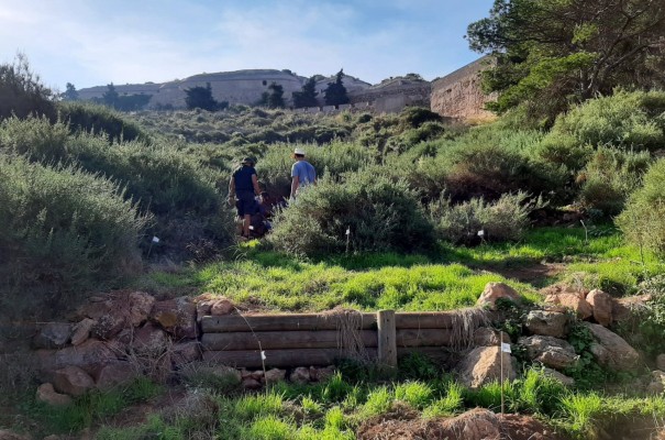 Cartagena contra el cambio climático: subvenciona con 10.000 euros seis proyectos de reforestación 