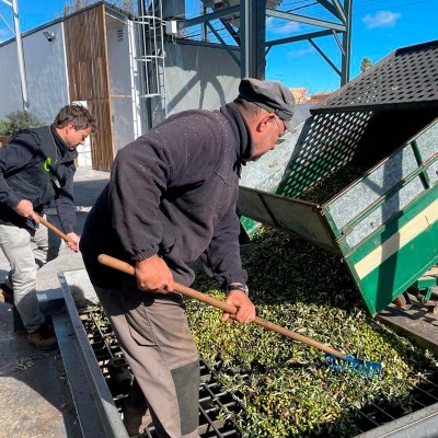Viver se afianza como pilar socieconómico del Alto Palancia con productos autóctonos de alta calidad