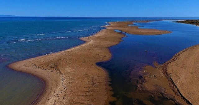 El Delta de l'Ebre, paradís en perill