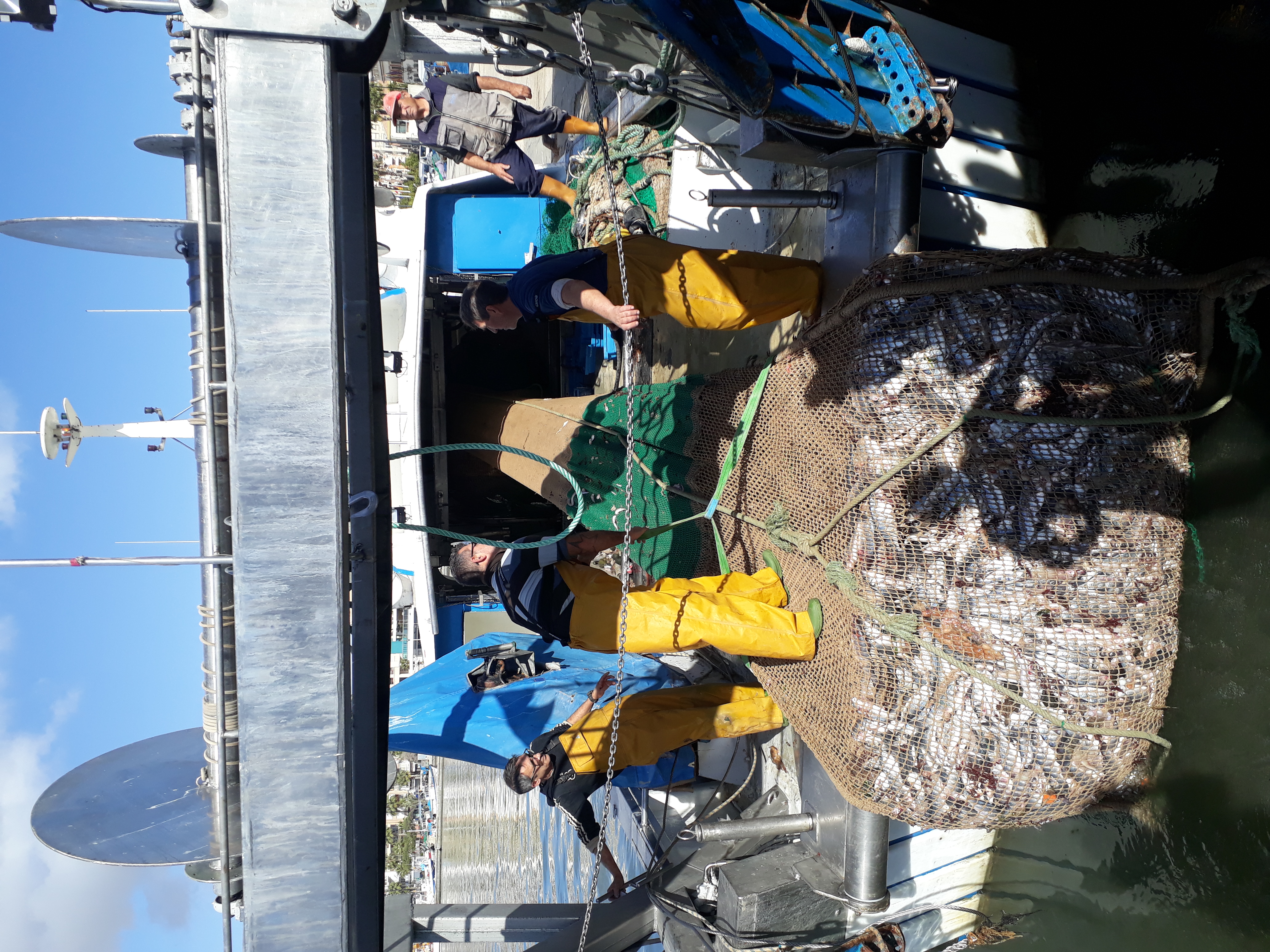 La UA establece medidas para mitigar el impacto de escapes de peces de producción acuícola 