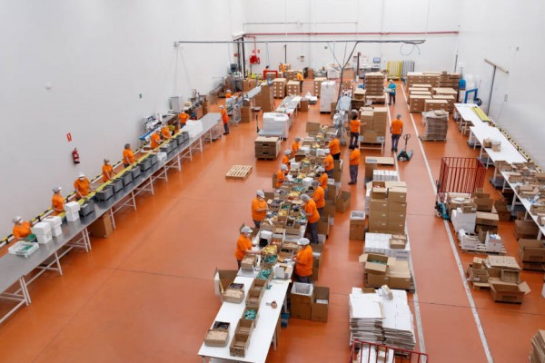 Lo más leído en Empresas en 2021: nuevos negocios y empleos y los planes de las renovables