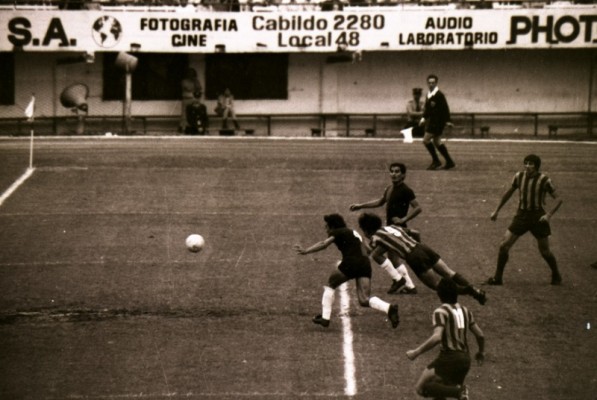 El medio siglo de la palomita
