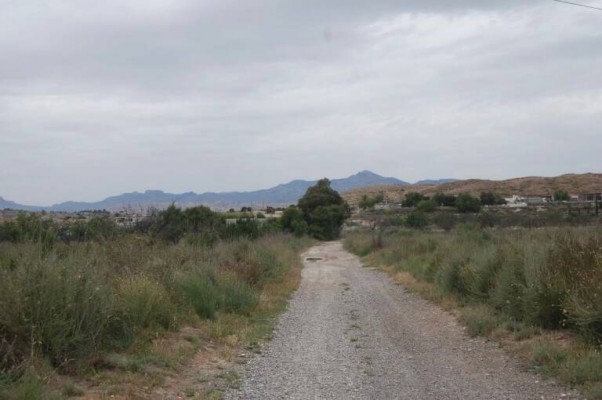 Trece empresas pujan por los 1,7 millones de la contrata para pavimentar caminos en Alicante