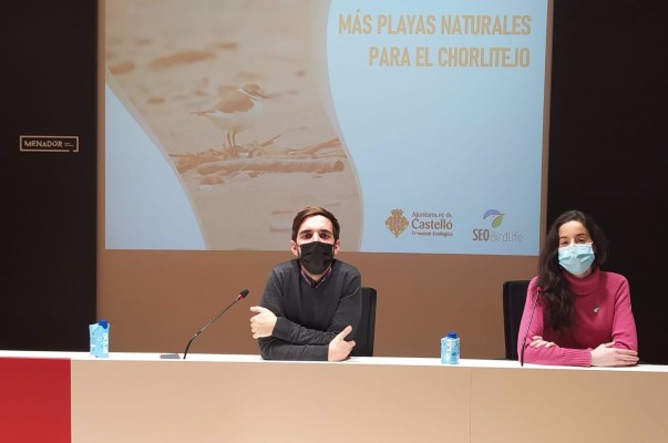 Castelló recupera población de chorlitejo y mejora la conservación de las playas