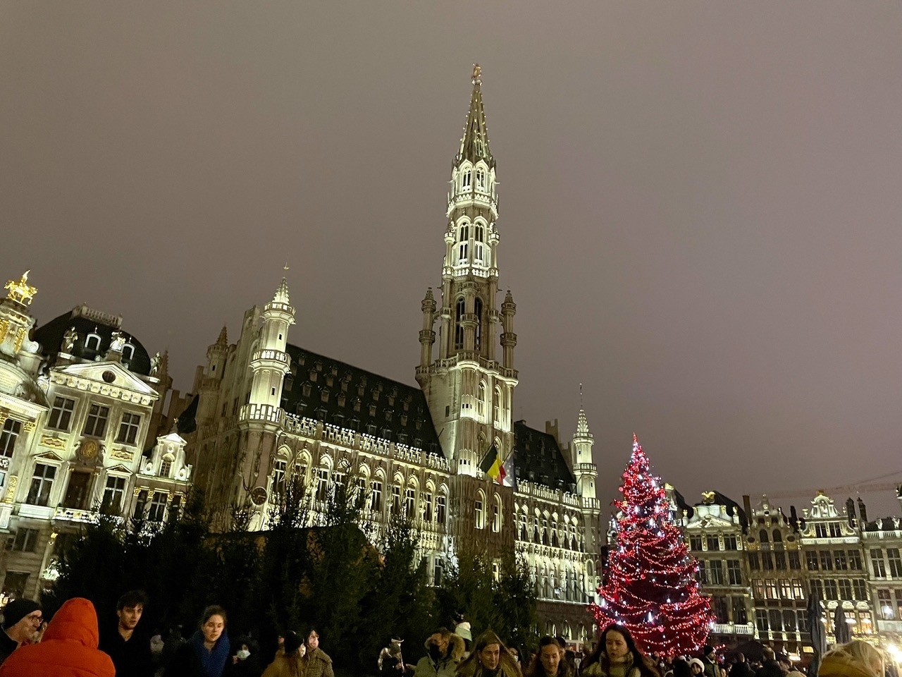 Animal de compañía