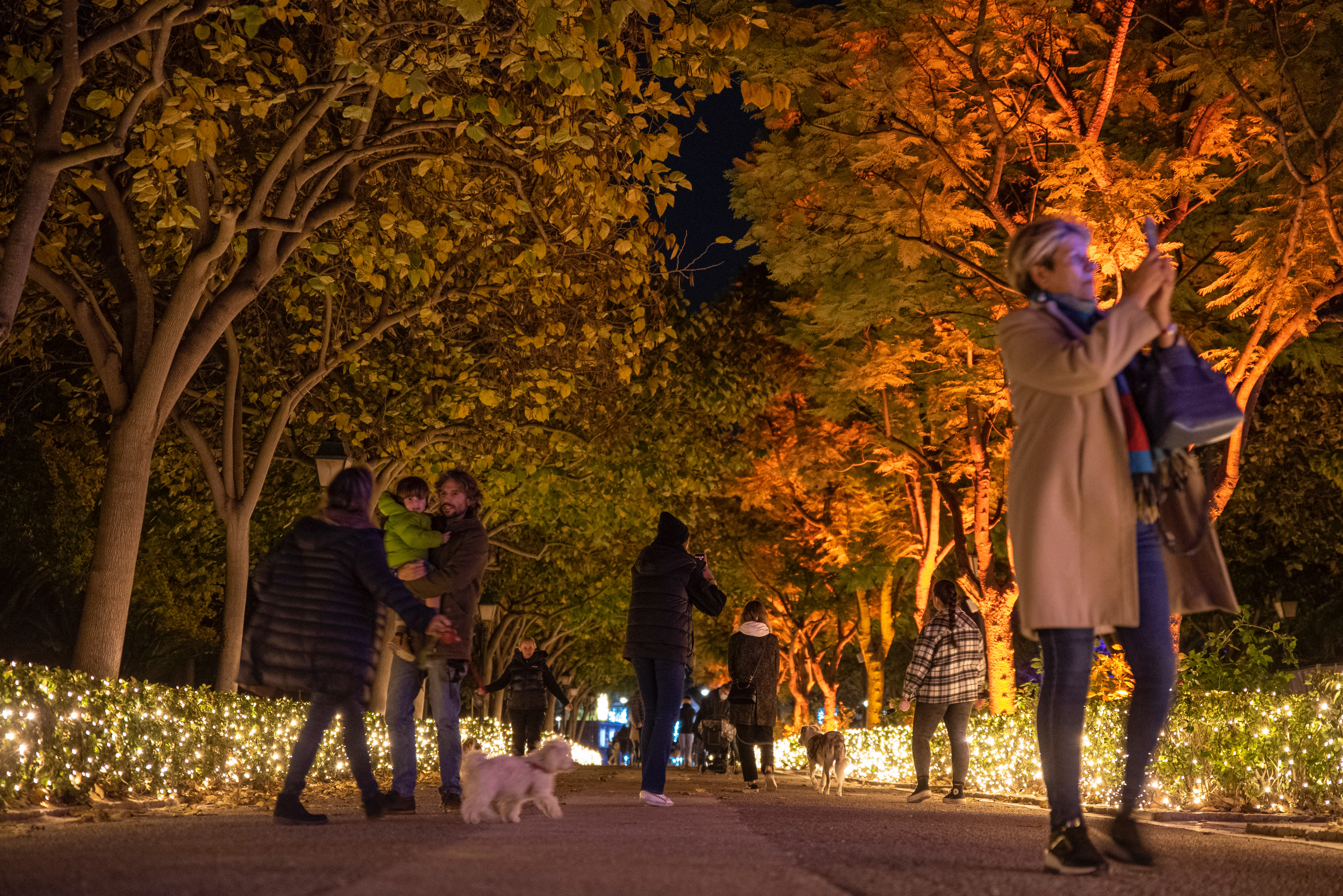 El espectáculo de luz 'Les llums de Vivers' llega a València