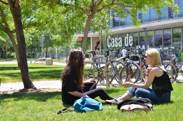 El Consell lanza la convocatoria de becas salario ligadas a la renta para el curso 2021-2022
