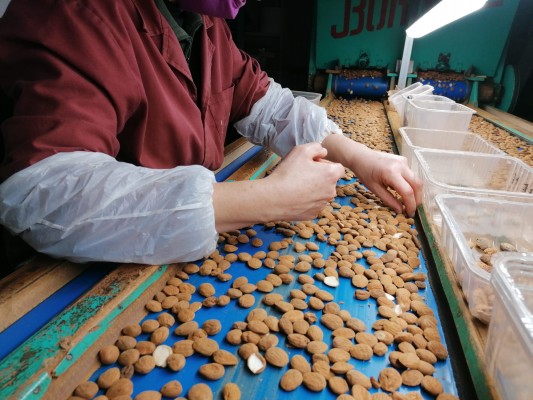 Albocàsser extiende el valor de la almendra del Maestrat al mercado nacional e internacional
