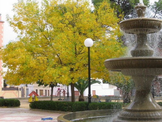 Castalla retirará la fuente del Parque Municipal para mejorar la salubridad y seguridad