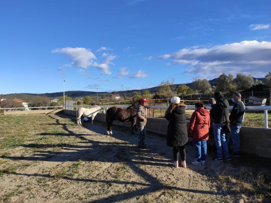 Una terapia con caballos en Albocasser ayuda a personas con enfermedades mentales 