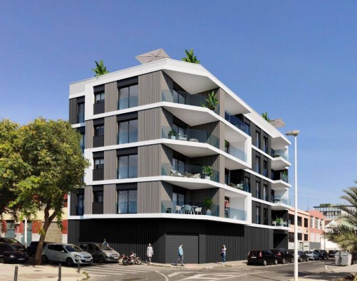 La fiebre inmobiliaria de Elche pasa por barrios y pedanías: 70 nuevas viviendas en La Hoya, Arenales y El Pla