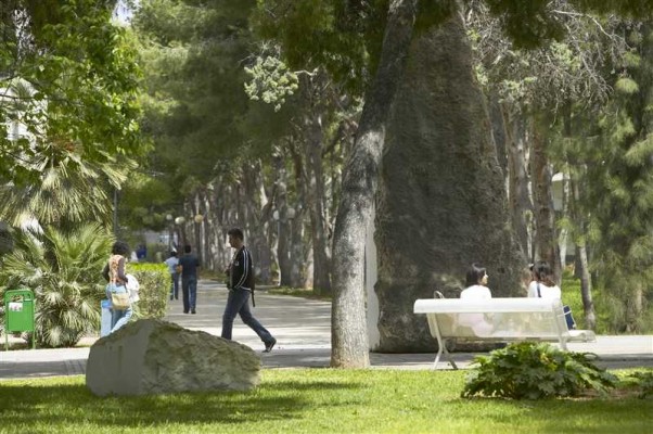 Catorce empresas optan a la contrata de jardinería con 'perspectiva de género' de la UA
