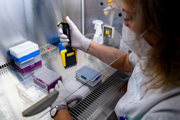 La influencia de la vitamina D en la inmunidad 
y la evolución de la covid