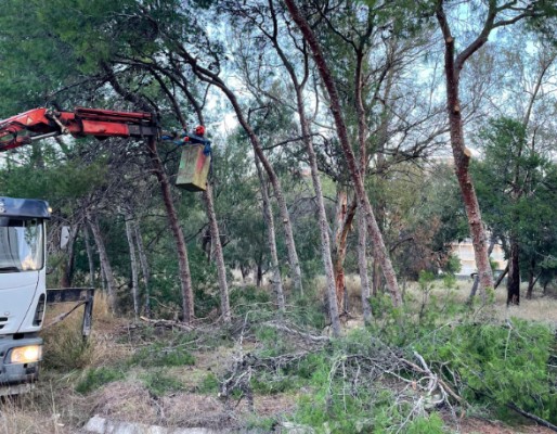La Vila recuperará para el uso público la zona verde del antiguo camping de la Cala 
