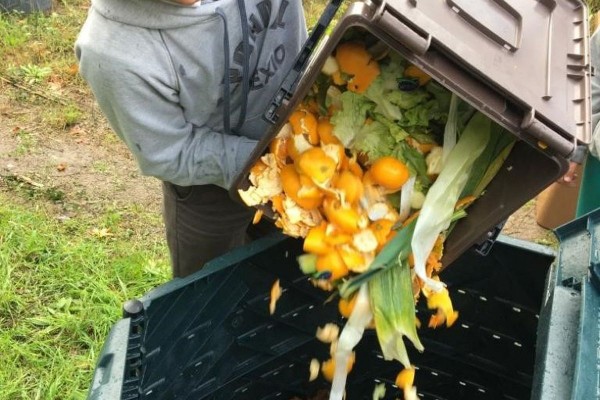 Cartagena apuesta por el compostaje doméstico: vecinos con jardín recibirán gratis todo el material