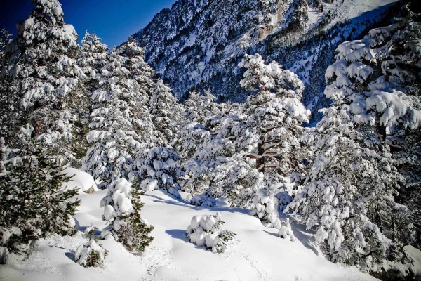 Previsión meteorológica de los Pirineos franceses para los próximos siete días