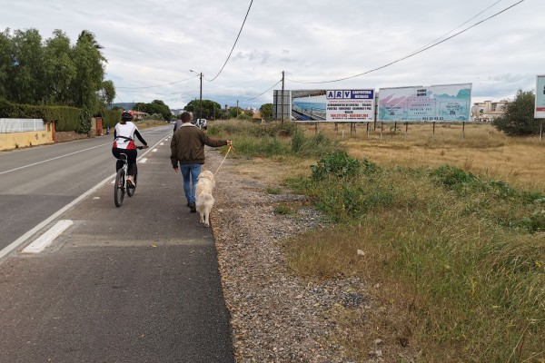 La Sareb subasta una parcela 'golosa' en Benicàssim: 6.000 m2 y cercana a la playa