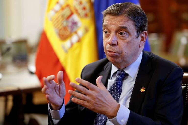 Foto: EFE/CHEMA MOYA - 