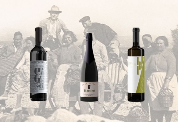 Vino, aceite y trigo para rescatar el capital cultural del Castellón interior
