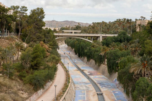 Elche es la ciudad europea con menos mortalidad en relación con sus zonas verdes 